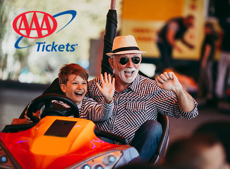 Dad and son laughing in bumper car ride